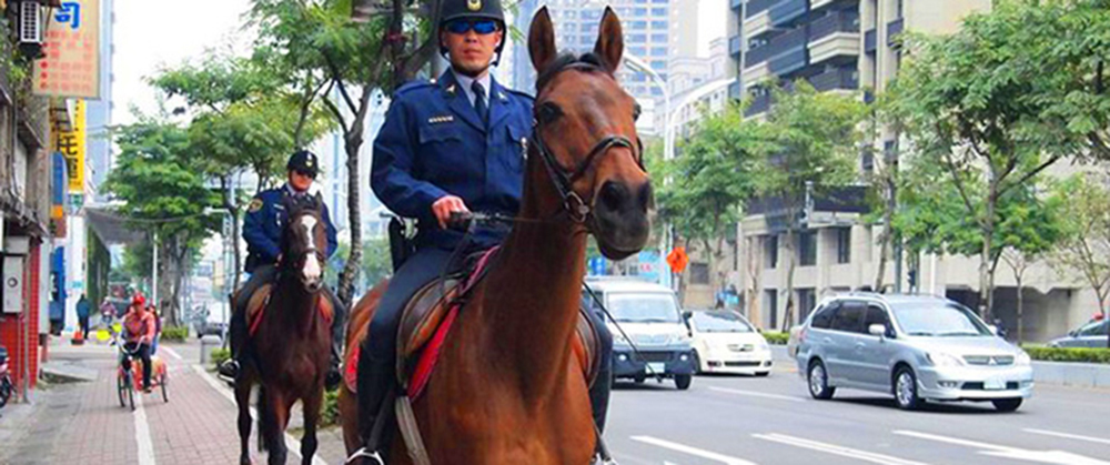 Mounted police photo