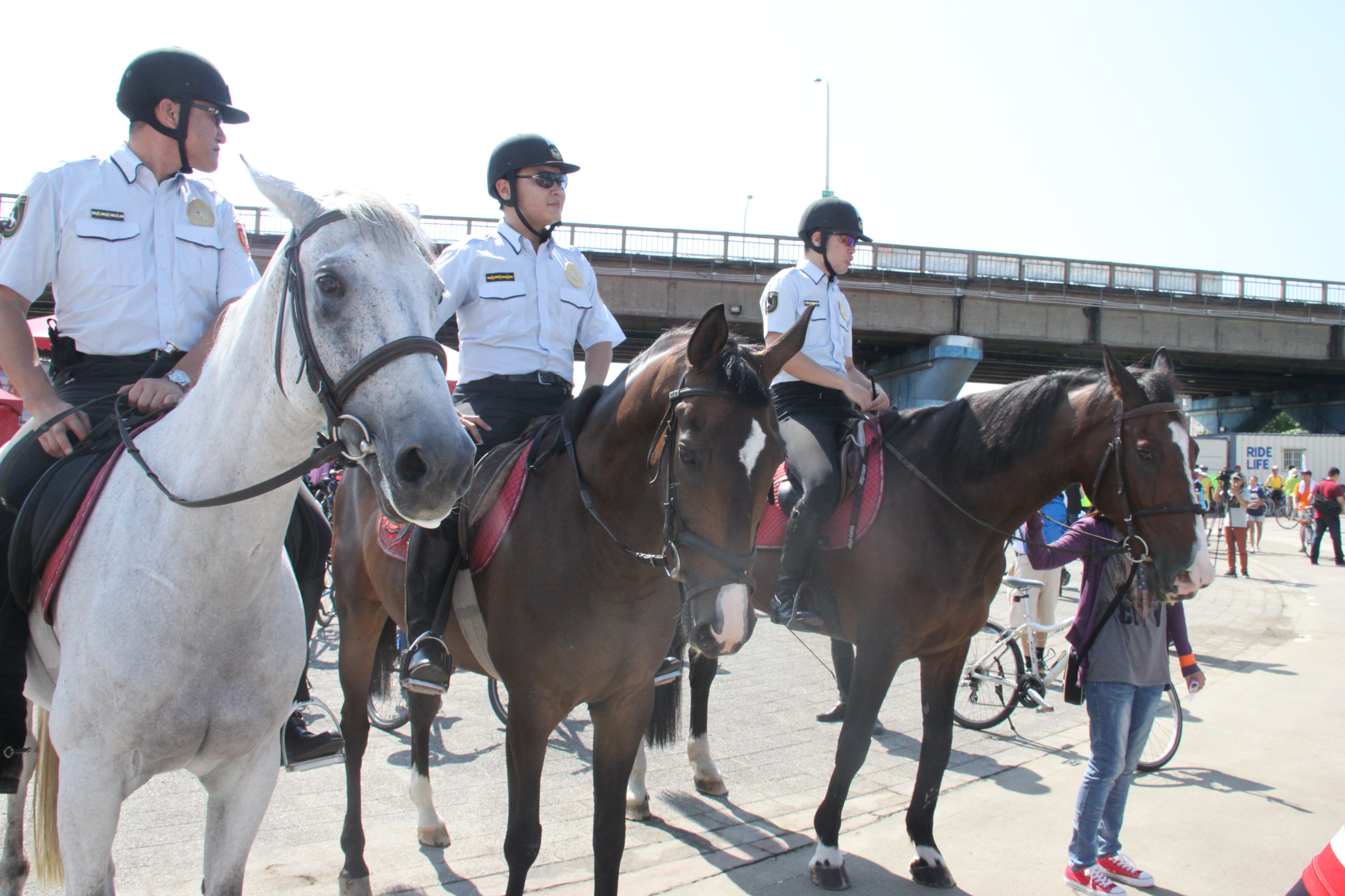 慶祝105年第38屆警察節-兩輪的交會轉動警察及警友的活力