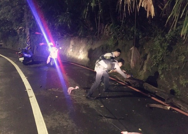 警民合作生巧思 協力移除倒塌路樹電線(圖示)