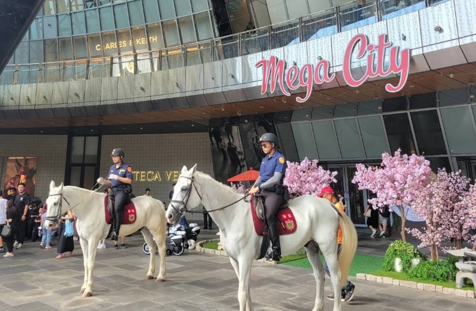 114年6月15日「小小愛馬士騎警相見歡」暨犯罪預防宣導活動案2